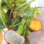 シック プッテートル - 採れたて野菜のグリーンサラダ特盛り