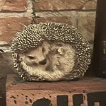 プライベートガーデンバー グリーンスポット - 