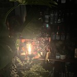 プライベートガーデンバー グリーンスポット - 