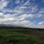 Market Fresh Bistro - 