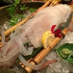 磯一 - 超特大のイカをお刺身にしてもらいました。