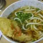 広島駅弁当 うどん - 普通のうどん