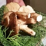 おにく 花柳 - 焼物