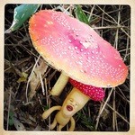 自然屋 - 完敗…　お店の周辺にて