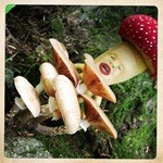 自然屋 - ナラタケ　お店の周辺にて