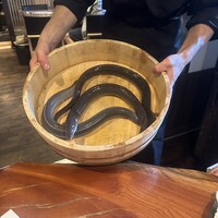 炭焼鰻 寝床 福島店 - 