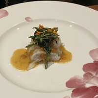 メルモーゾ ダ ドロカワ - 