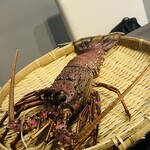 鍋・海鮮居酒屋 伊勢海老 たくと 大阪本町店 - 