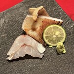 成生 - ジンドウイカ　エボ鯛