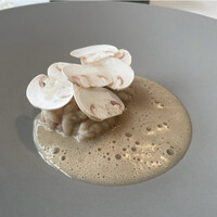 Installation Table ENSO L'asymetrie du calme - 