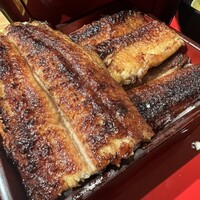 炭焼 うな富士 有楽町店 - 特上うな重 ¥8,550
