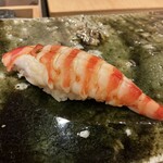 鮨桂太 - クルマエビ