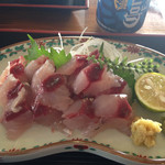 SHALLOW BEE - 鯵刺身定食