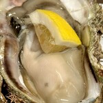 築地三代 - 新潟県村上産