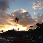 Coconut’s Fish Cafe - 