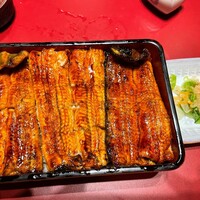 大塚 うなぎ宮川 -  大塚 うなぎ宮川 -