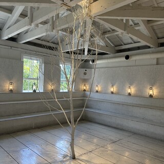 Walden Woods Kyoto_2