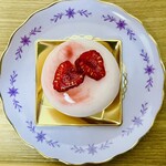 本町 カメリヤ - マニフィック