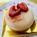 本町 カメリヤ - マニフィック