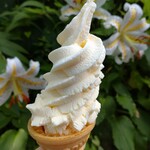 やまびこ茶屋 - 