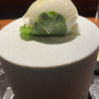 TACUBO - 