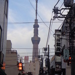 やげん堀 七味唐辛子本舗 - 2012' オレンジ通り商店街側から見たツリー