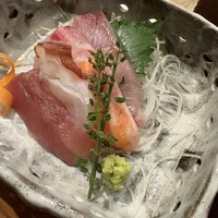 魚竹 - 