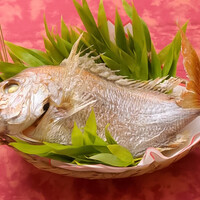 祝鯛塩焼（別注）