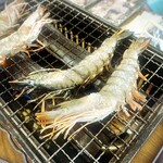 海鮮BBQ 土佐のかき小屋 - 