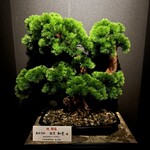 あかさか割烹和史 - 