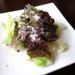 le Bleu - セットのサラダ！