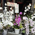 猿でもわかるわ - 