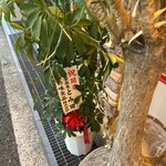 猿でもわかるわ - 