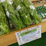 미치노에키 나카야마 우돗쿠라후토 센타