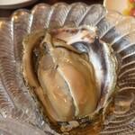 コエダ バール レアーレ - 