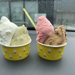 ジェラテリア フルーツラボラトリー - 