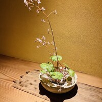 日本料理 寺田 - 
