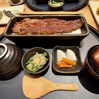 うなぎ四代目菊川 ミッドランドスクエア 名古屋本店 - 一本重