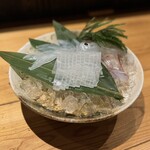 鯖とか烏賊とか真とか - 