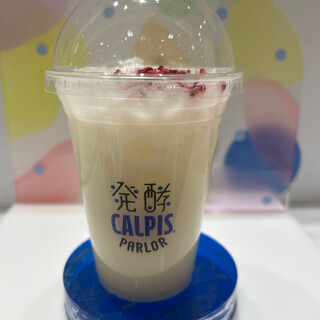 カルピス屋2点 口コミ一覧 : 発酵 CALPIS PARLOR (発酵 カルピス パーラー