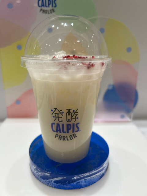 カルピス屋2点 発酵 カルピス(R)パーラー(HAKKO CALPIS PARLOR)｜フード(食品