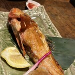 旬菜酒房 わらび - 