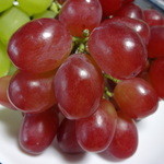 道の駅 富士川 - 甲斐路