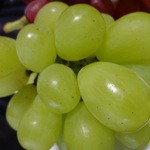 道の駅 富士川 - ロザリオビアンコ