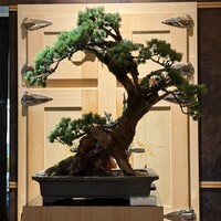 寿し あや瀬 - 