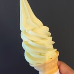 砂丘センター 見晴らしの丘 - 