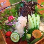 浜茶屋 - 今が旬！伊勢海老のお造り！