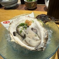 魚斉 - 