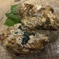 ヤマガタ サンダンデロ - 岩ガキをひっくり返してみました