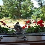 東福寺野倶楽部 - カウンター席の窓際